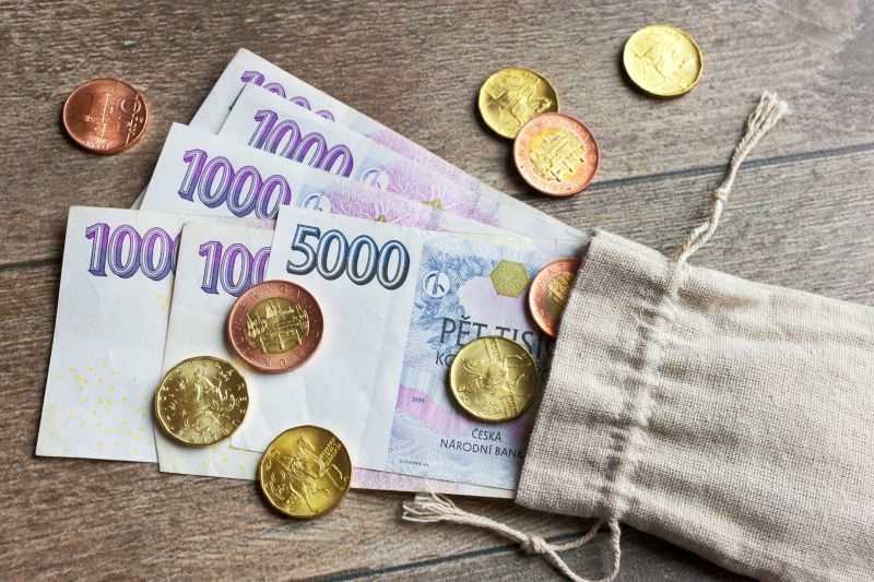Jaké příjmy uznávají banky do hypotéky? Banky vám uznají nejen příjmy ze zaměstnání